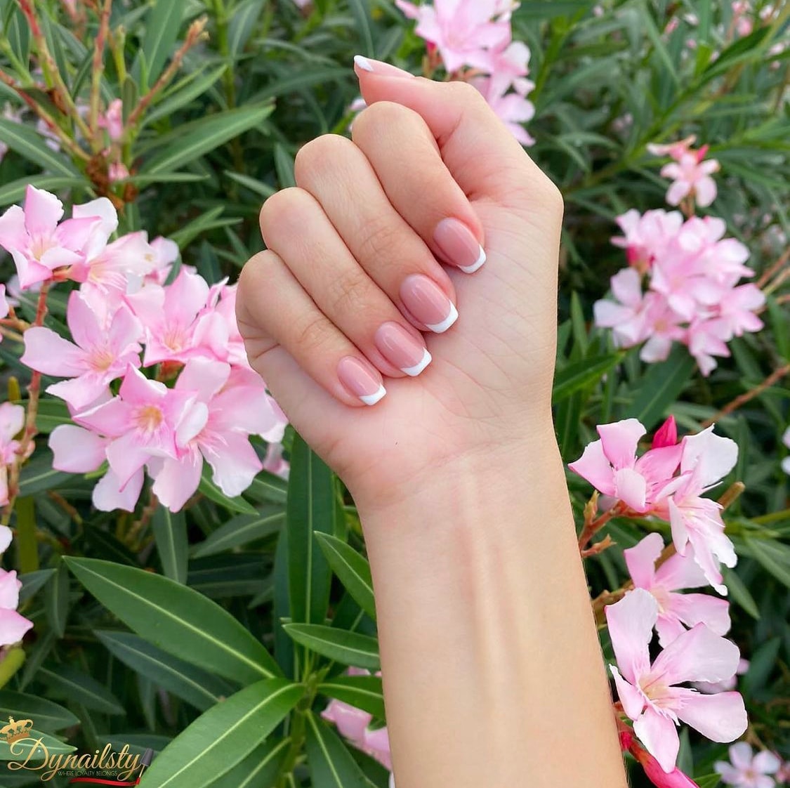 Dynailsty nail art 21
