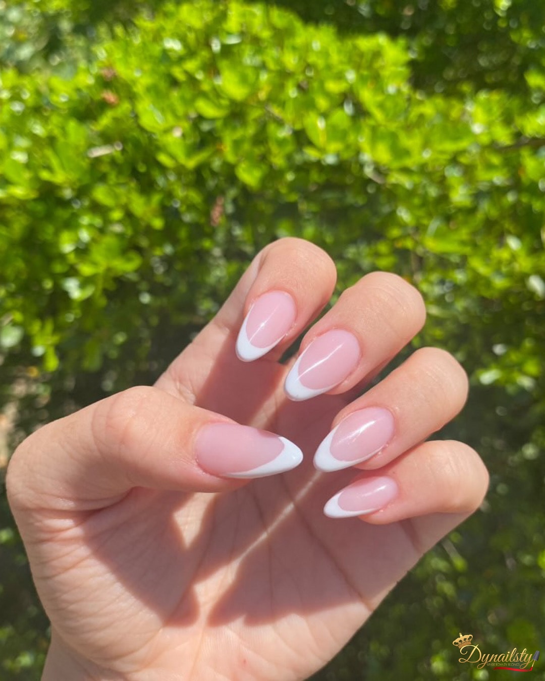 Dynailsty nail art 62